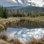 Szewska Pasja Wiejska * Leśna