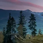 Szewska Pasja Wiejska