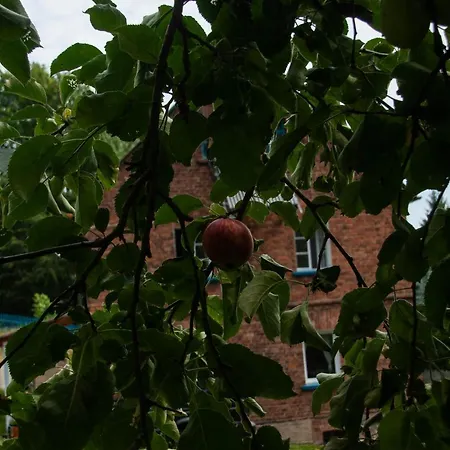 Szewska Pasja Wiejska *