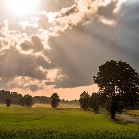 Szewska Pasja Wiejska 펜션