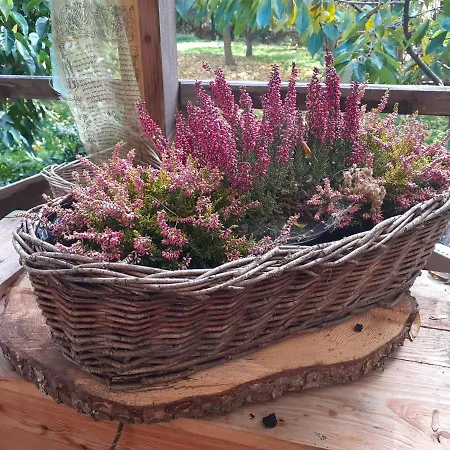 펜션 Szewska Pasja Wiejska *