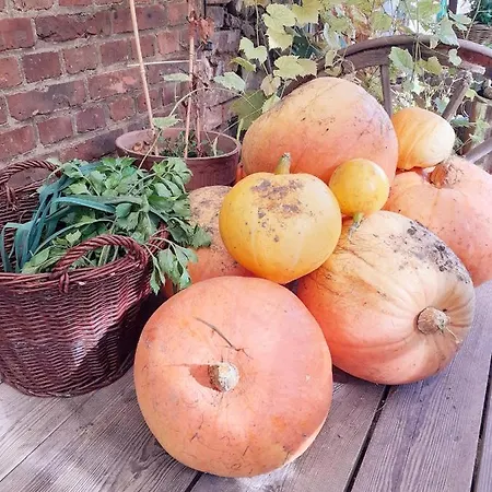 Szewska Pasja Wiejska 펜션