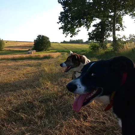 Szewska Pasja Wiejska * Leśna