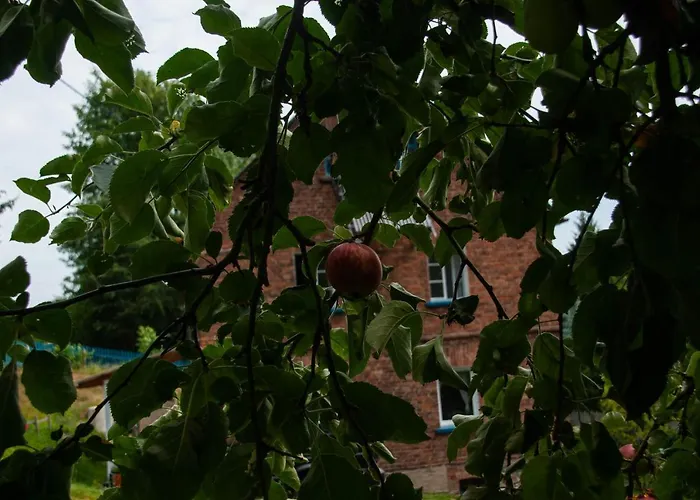 Szewska Pasja Wiejska *