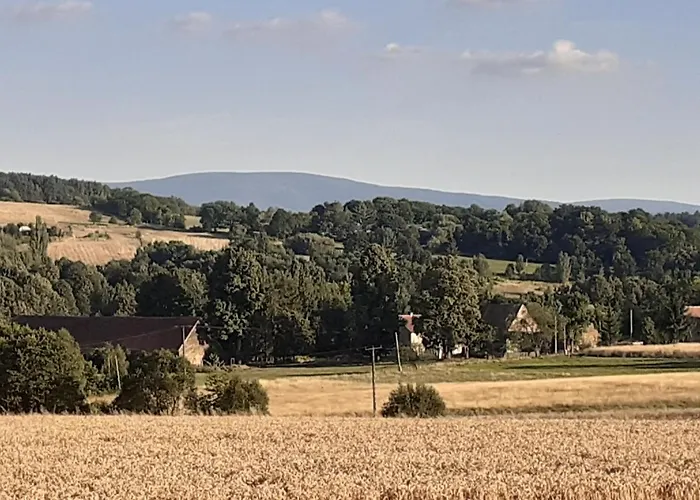 Szewska Pasja Wiejska * Leśna