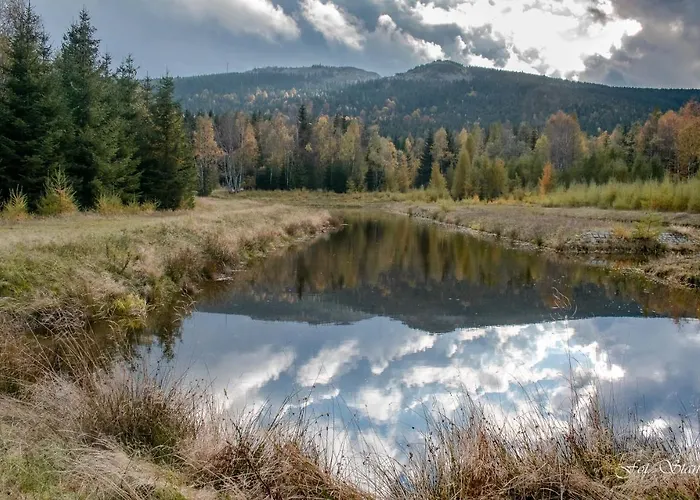 Szewska Pasja Wiejska * Лесьна