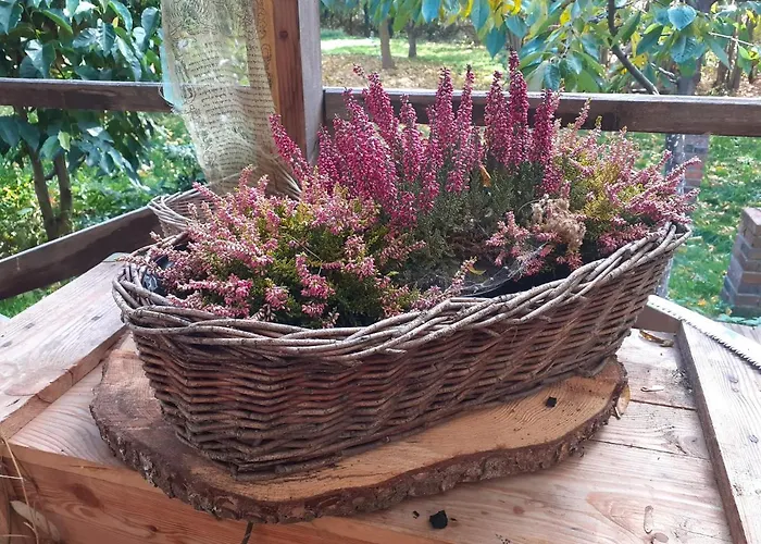 Vakantiehuis Szewska Pasja Wiejska *