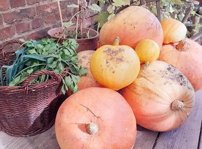 Szewska Pasja Wiejska Vakantiehuis