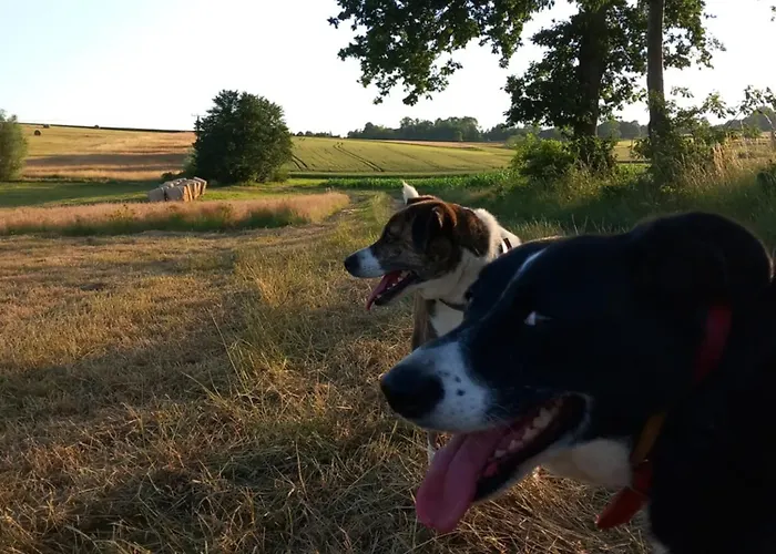 Szewska Pasja Wiejska * Лесьна